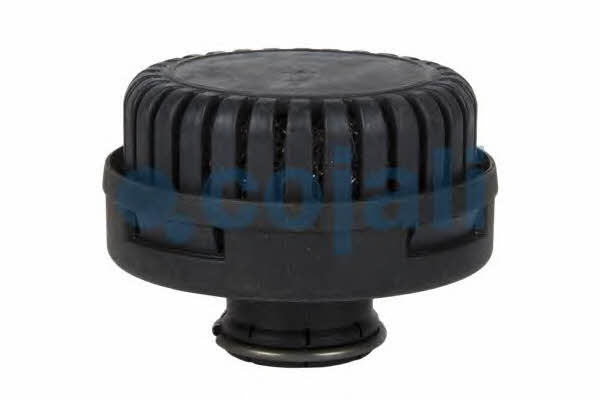 2203100 Cojali Air exhaust silencer