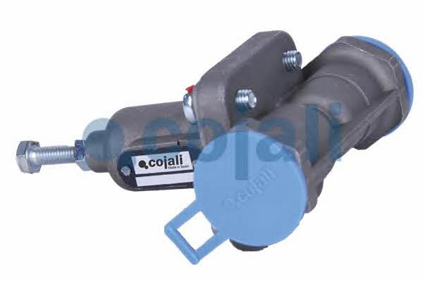 Buy Cojali 2206137 at a low price in United Arab Emirates!