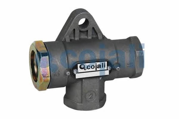 Cojali 2207100 Multi-position valve 2207100