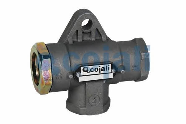 2207103 Cojali Multi-position valve