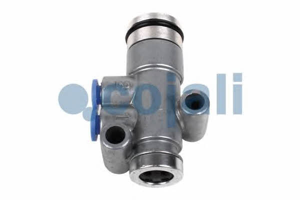 Buy Cojali 2880167 at a low price in United Arab Emirates!