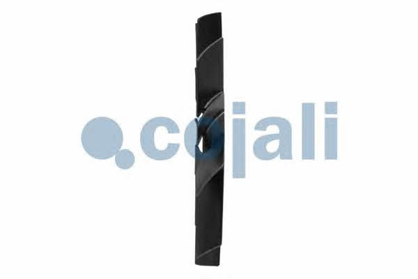 Buy Cojali 8521601 at a low price in United Arab Emirates!