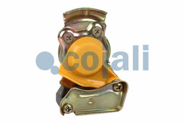 6001402 Cojali Connecting head type PALM