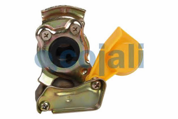 Buy Cojali 6001404 at a low price in United Arab Emirates!