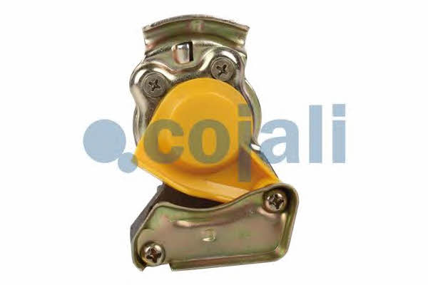 6001406 Cojali Connecting head type PALM