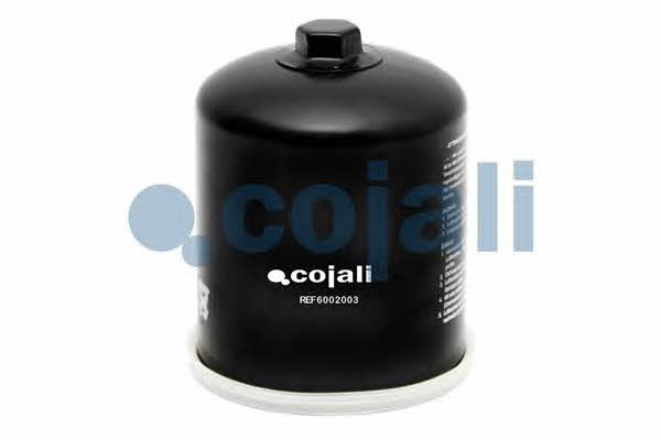 Cojali 6002003 Cartridge filter drier 6002003