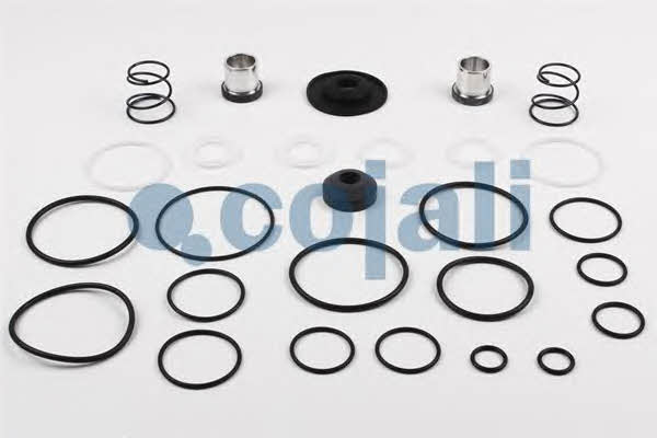 Repair kit for brake valve Cojali 6012001