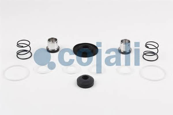 Buy Cojali 6012001 at a low price in United Arab Emirates!