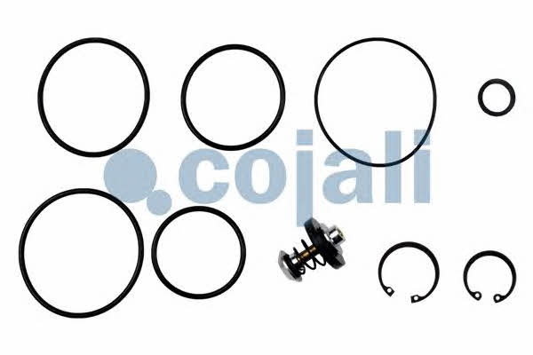 Cojali 6012049 Repair Kit, Load-/empty valve 6012049