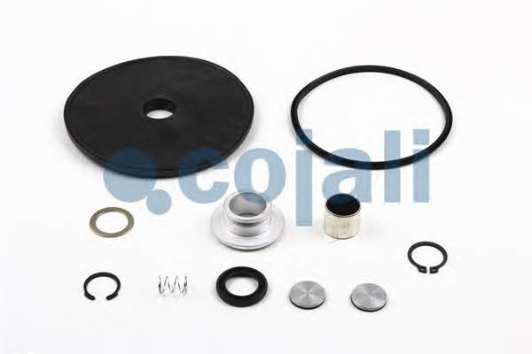 Repair kit for brake force regulator Cojali 6012062