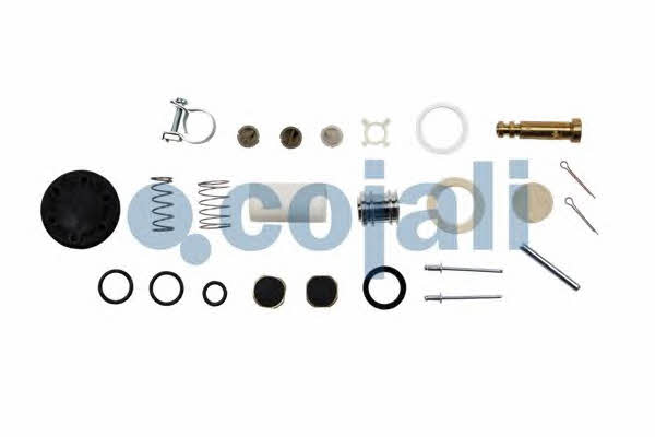 Cojali 6012068 Repair Kit 6012068