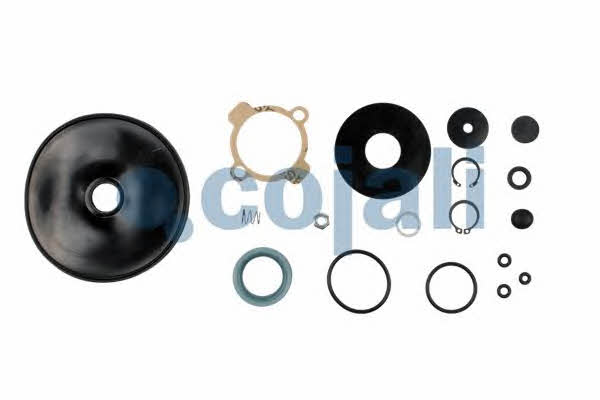 Cojali 6012069 Repair kit for brake force regulator 6012069