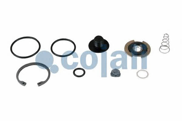 Cojali 6012078 Repair kit for brake force regulator 6012078