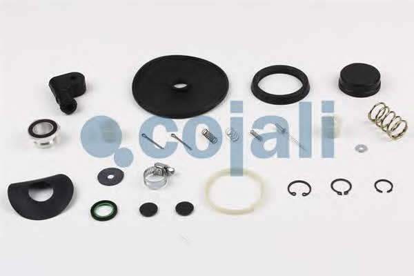 Repair kit for brake force regulator Cojali 6012109