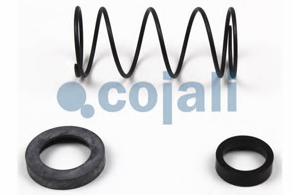Cojali 6012253 Accelerating valve repair kit 6012253