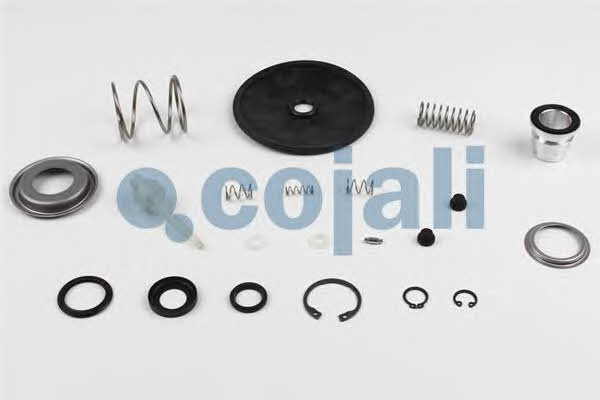Repair kit for brake force regulator Cojali 6014214