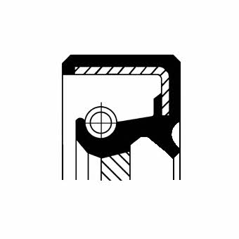 Oil seals Toyota Rav 4: 19035066B Corteco Oil seal