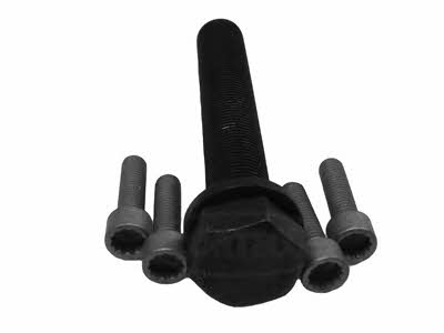 80001244 Corteco Bolt