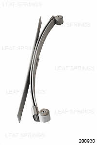 1020093000 CS Germany Leaf spring