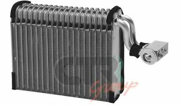 CTR 1225252 Air conditioner evaporator 1225252