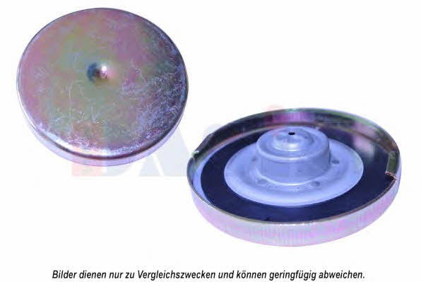 750034N Dasis Fuel Door Assembly
