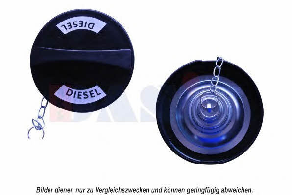750084N Dasis Fuel Door Assembly