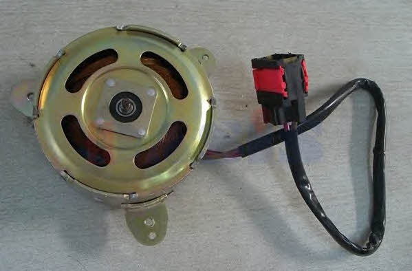 Dasis 168062N Radiator cooling fan motor 168062N