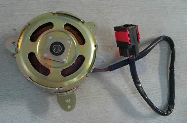 168062N Dasis Radiator cooling fan motor