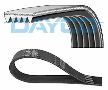 Dayco 5PK1550 V-ribbed belt 5PK1550 5PK1550