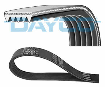 Buy Dayco 5PK975 at a low price in United Arab Emirates!