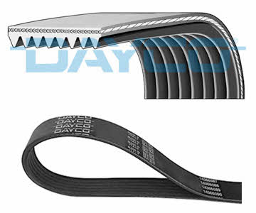Dayco 8PK1855HD V-ribbed belt 8PK1855 8PK1855HD
