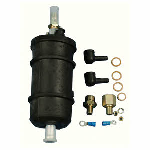 Delphi FG1017-12B1 Fuel pump FG101712B1