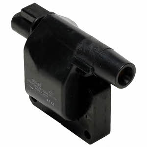ignition-coil-gn10024-14523664