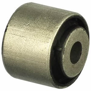TD1105W Delphi Silent block
