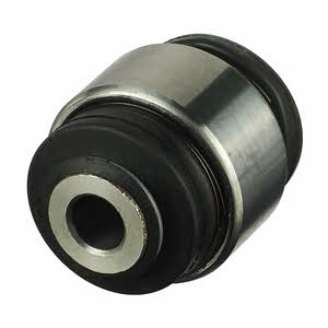 TD916W Delphi Silent block