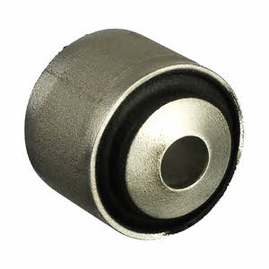TD1123W Delphi Silent block