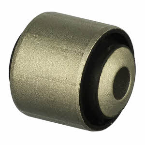 TD1106W Delphi Silent block