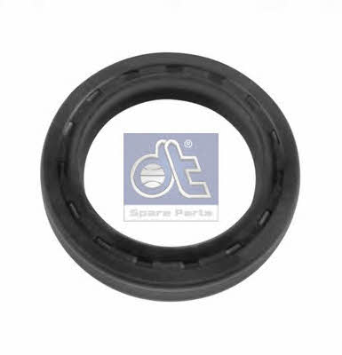 DT Spare Parts 2.53100 Ring sealing 253100