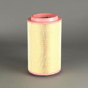 Donaldson P950910 Air filter P950910