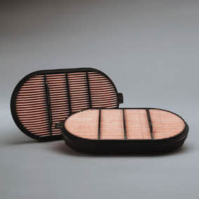 P601560 Donaldson Air filter