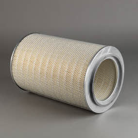 Donaldson P771519 Air filter P771519