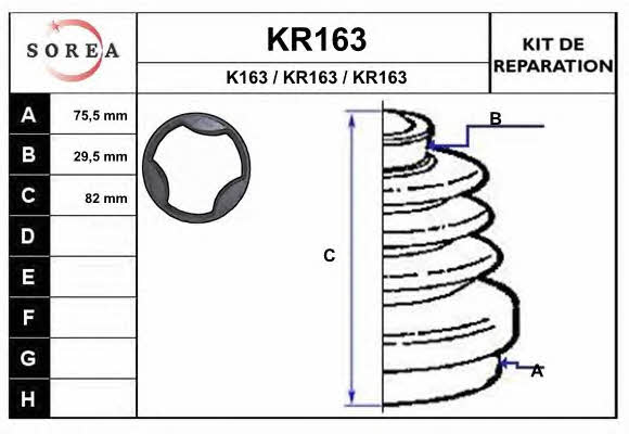 EAI KR163 Bellow set, drive shaft KR163