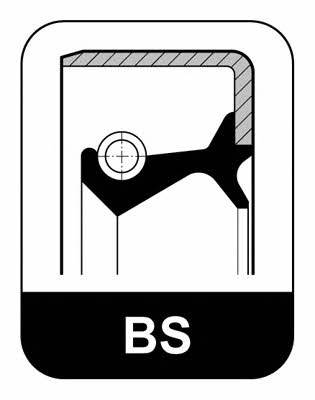 008559 Elring Shaft Seal, differential
