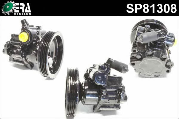 Era SP81308 Hydraulic Pump, steering system SP81308