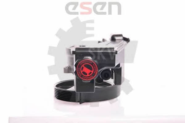 Hydraulic Pump, steering system Esen SKV 10SKV159