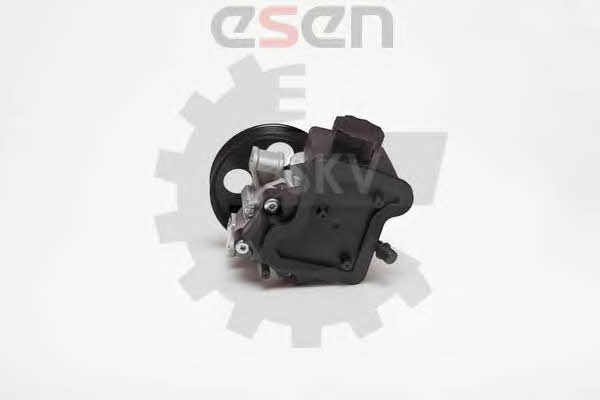 Hydraulic Pump, steering system Esen SKV 10SKV029