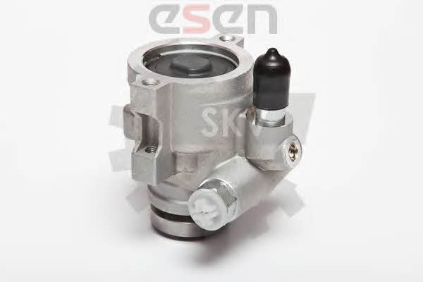 Hydraulic Pump, steering system Esen SKV 10SKV089
