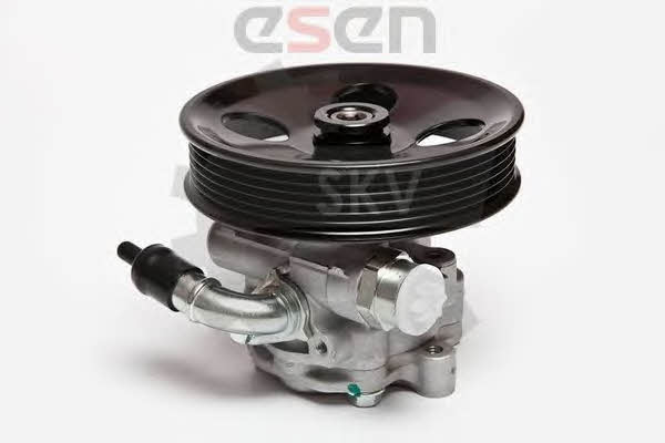 Buy Esen SKV 10SKV006 – good price at EXIST.AE!