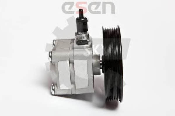 Hydraulic Pump, steering system Esen SKV 10SKV010