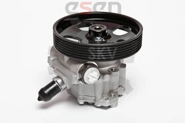 Hydraulic Pump, steering system Esen SKV 10SKV023